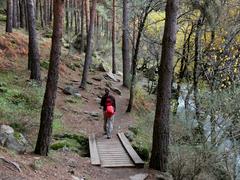 Rutas