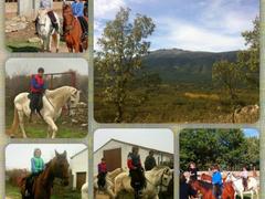 RUTAS A CABALLO
