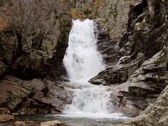 PESCA
